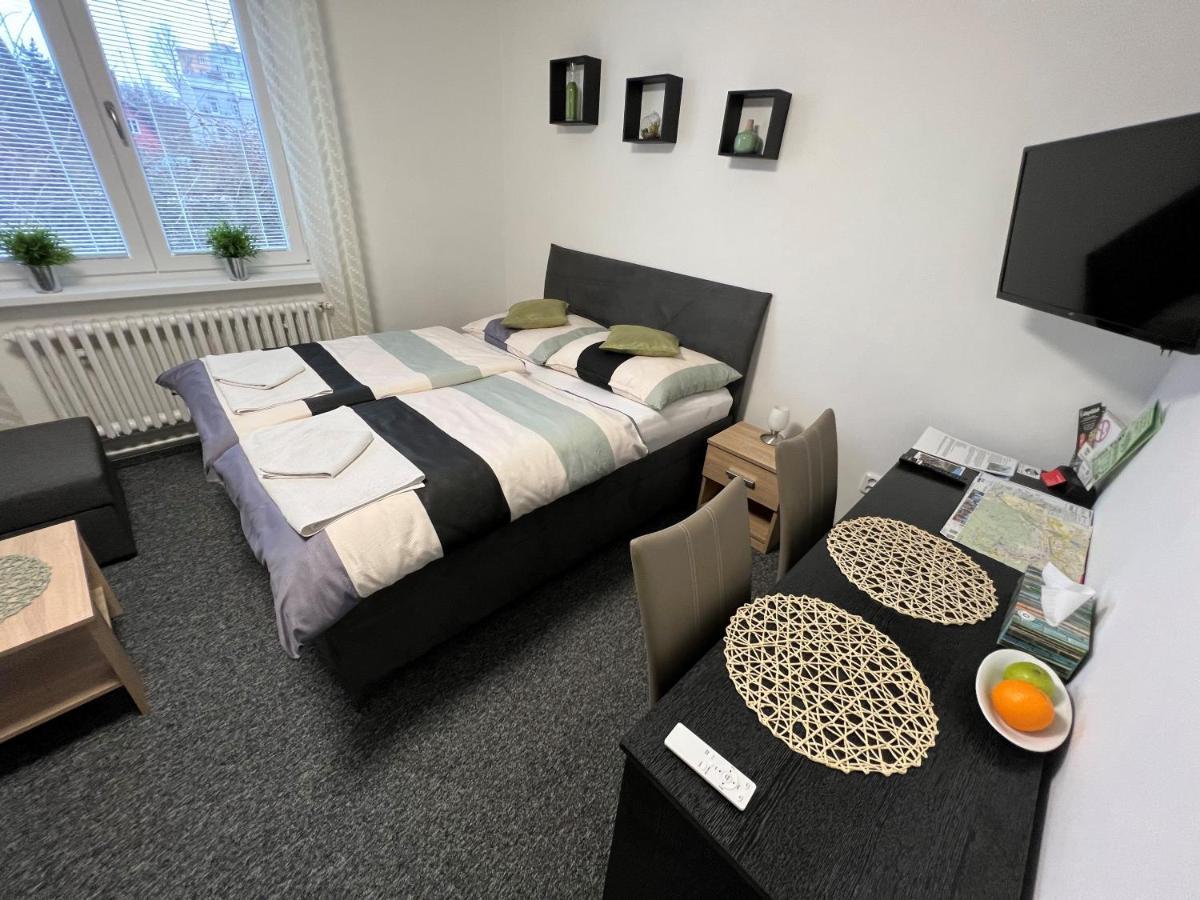 Apartmany Karlovy Vary Apartment *