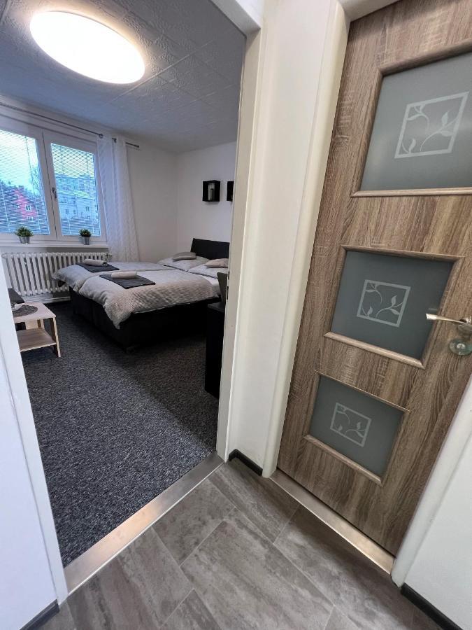 Apartmany Karlovy Vary Apartment *