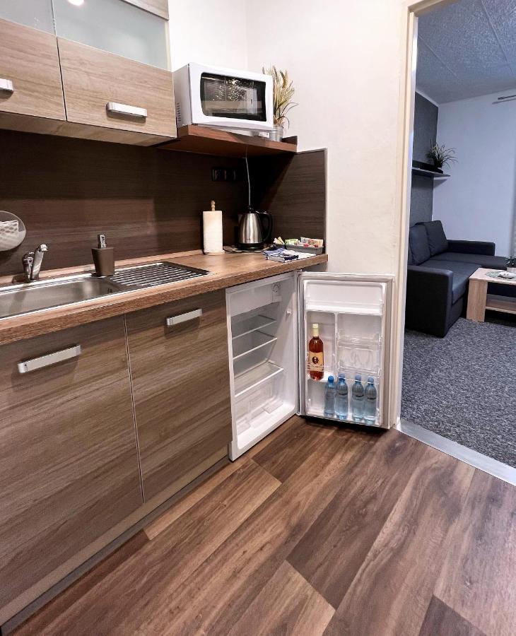 Apartmany Karlovy Vary Apartment Karlsbad