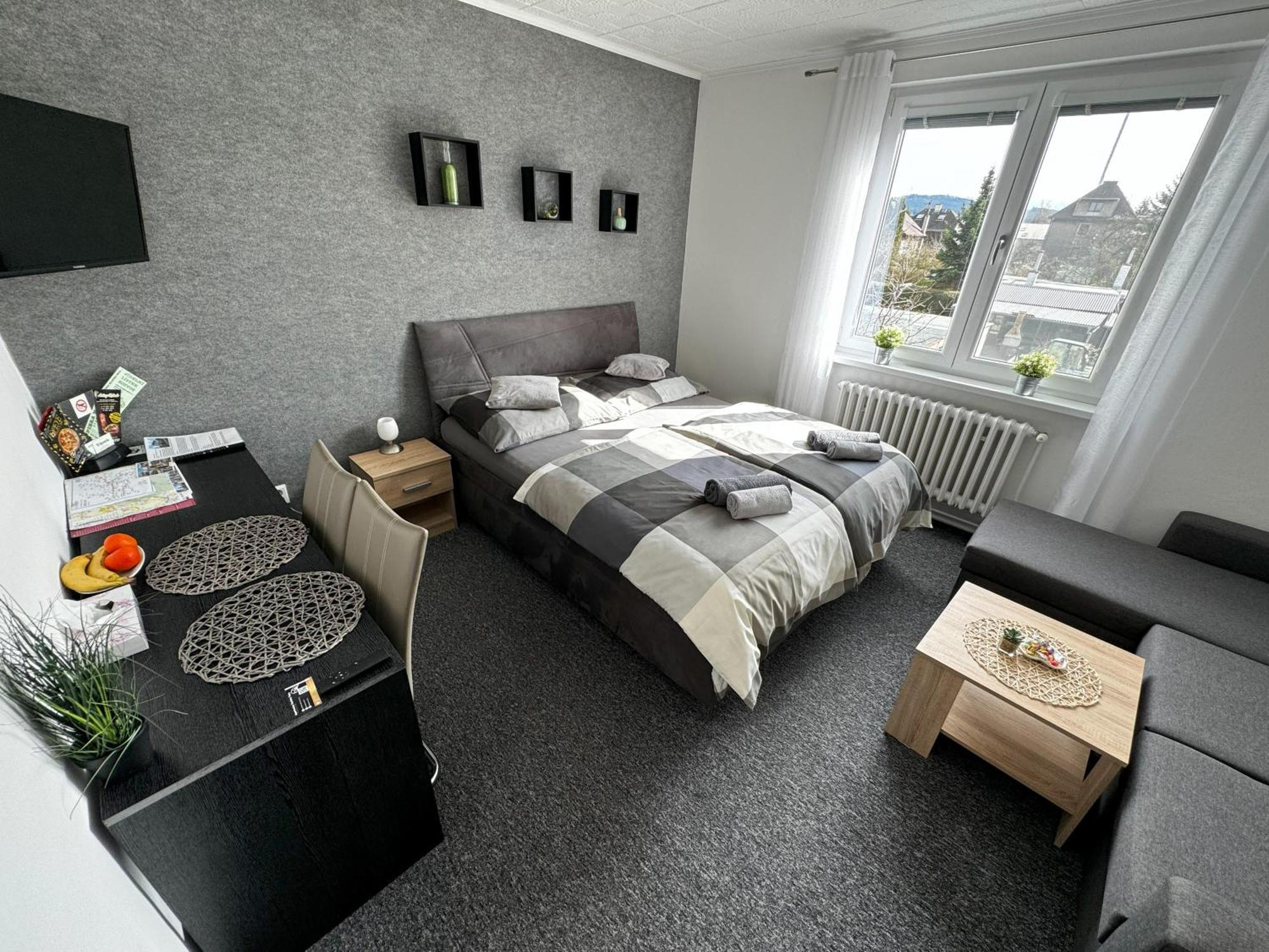 Apartmany Karlovy Vary Apartment